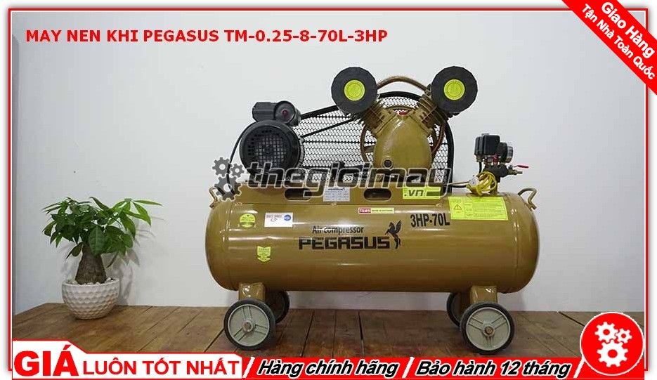 Máy nén khí PEGASUS TM-V-0.25/8-70L-3HP