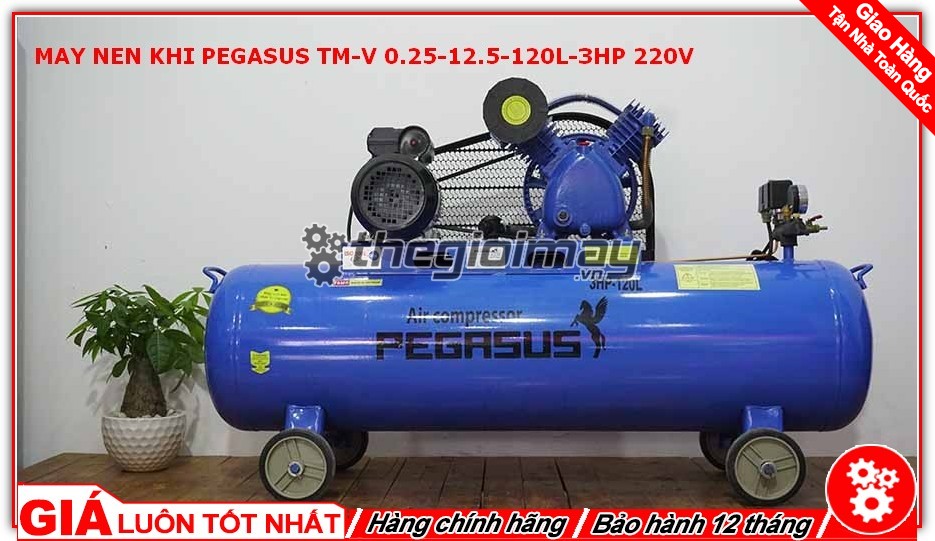 Máy nén khí dây đai Pegasus TM-V-0.25/12.5-120L-3HP-220V