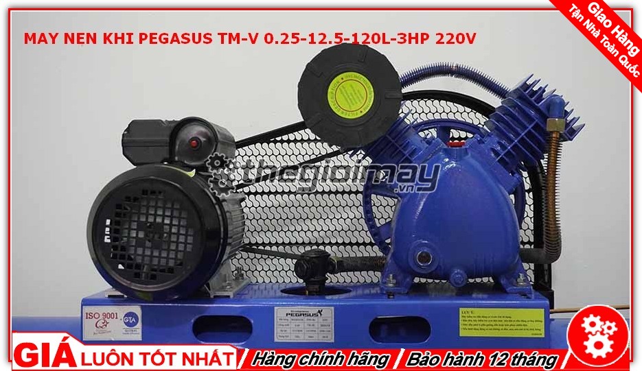 Bộ động cơ của Pegasus TM V 0.25/12.5 120l 3HP