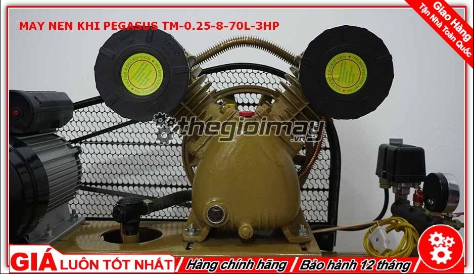 Đầu nén khí của pegasus TM-0.25-8-70L-3HP