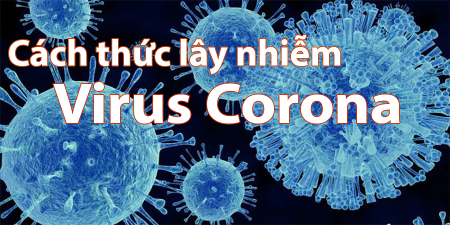 Cách thức lây nhiễm Virus Corona