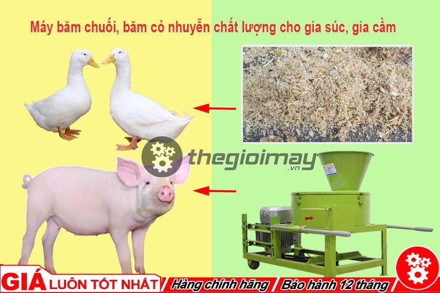 Máy băm chuối, băm cỏ nhuyễn cho vật nuôi ở TpHCM