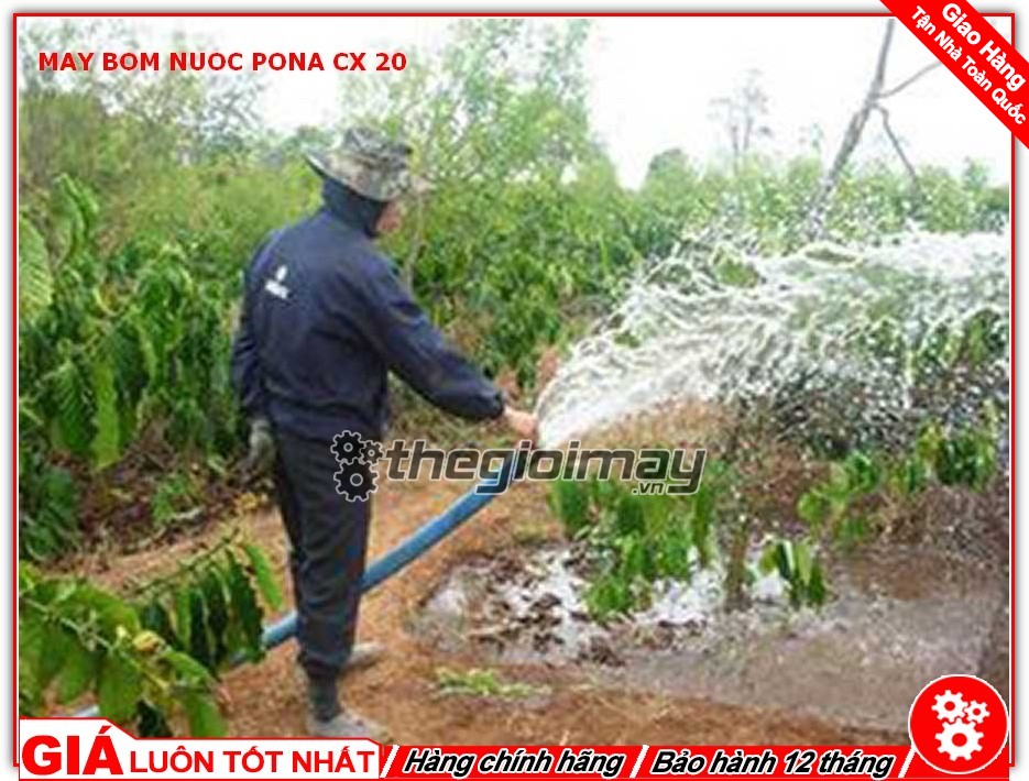Ứng dụng máy bơm nước PONA CX 20.