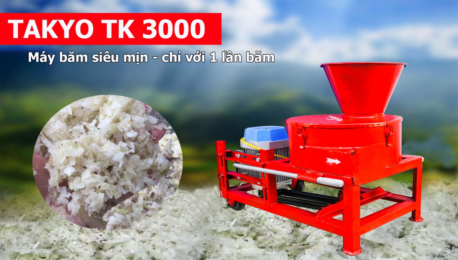 Một số thông tin về ' Máy băm chuối TAKYO TK3000 '