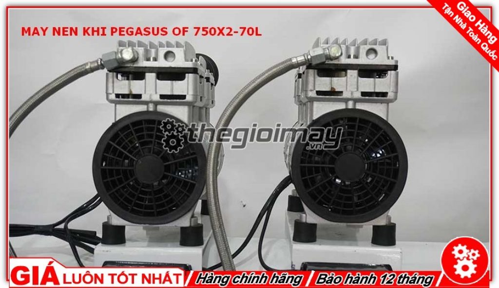 Motor máy nén khí Pegasus TM-OF750x2 70L