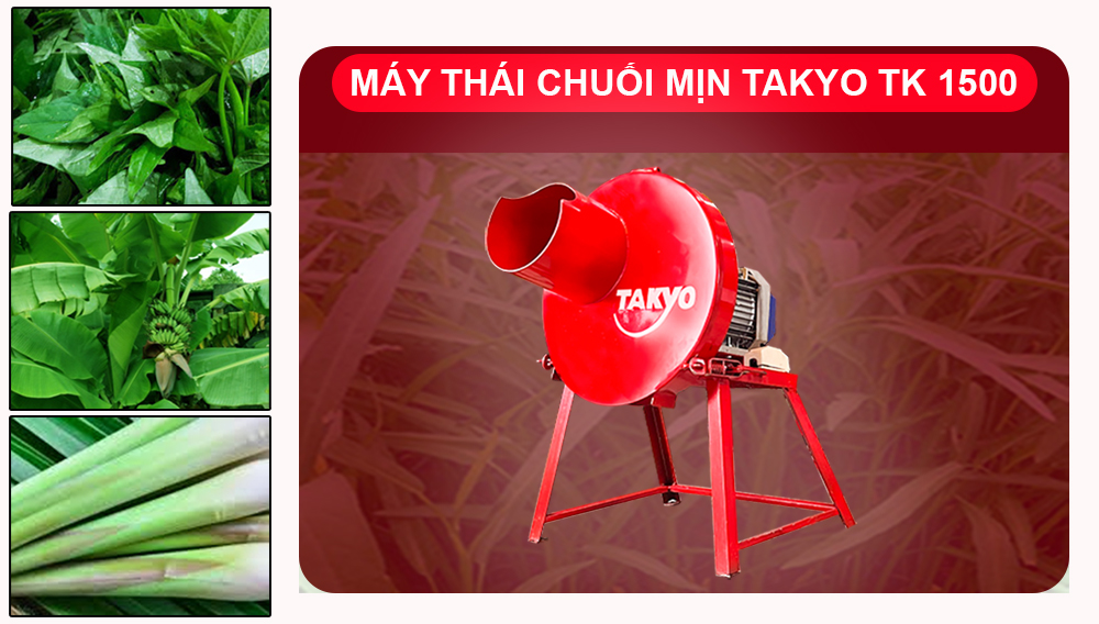 may-thai-chuoi-da-nang-takyo-tk1500