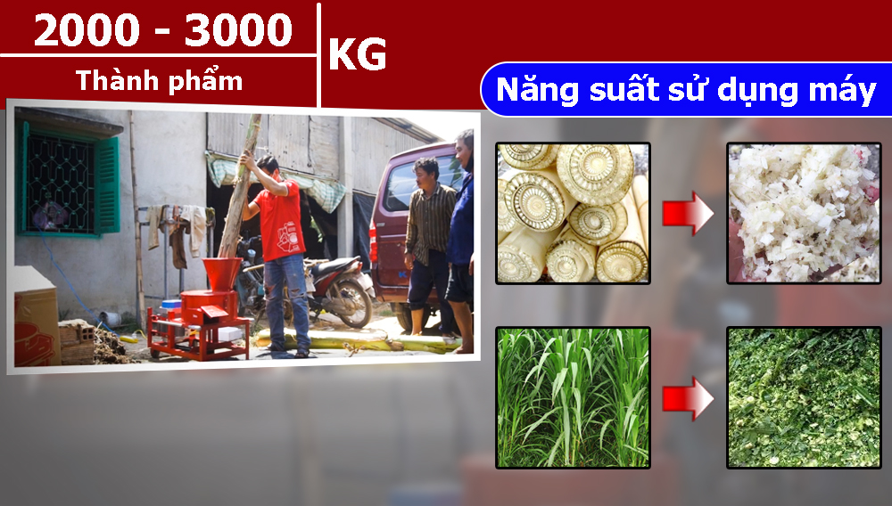 Năng suất thực tế máy băm chuối Takyo TK3000