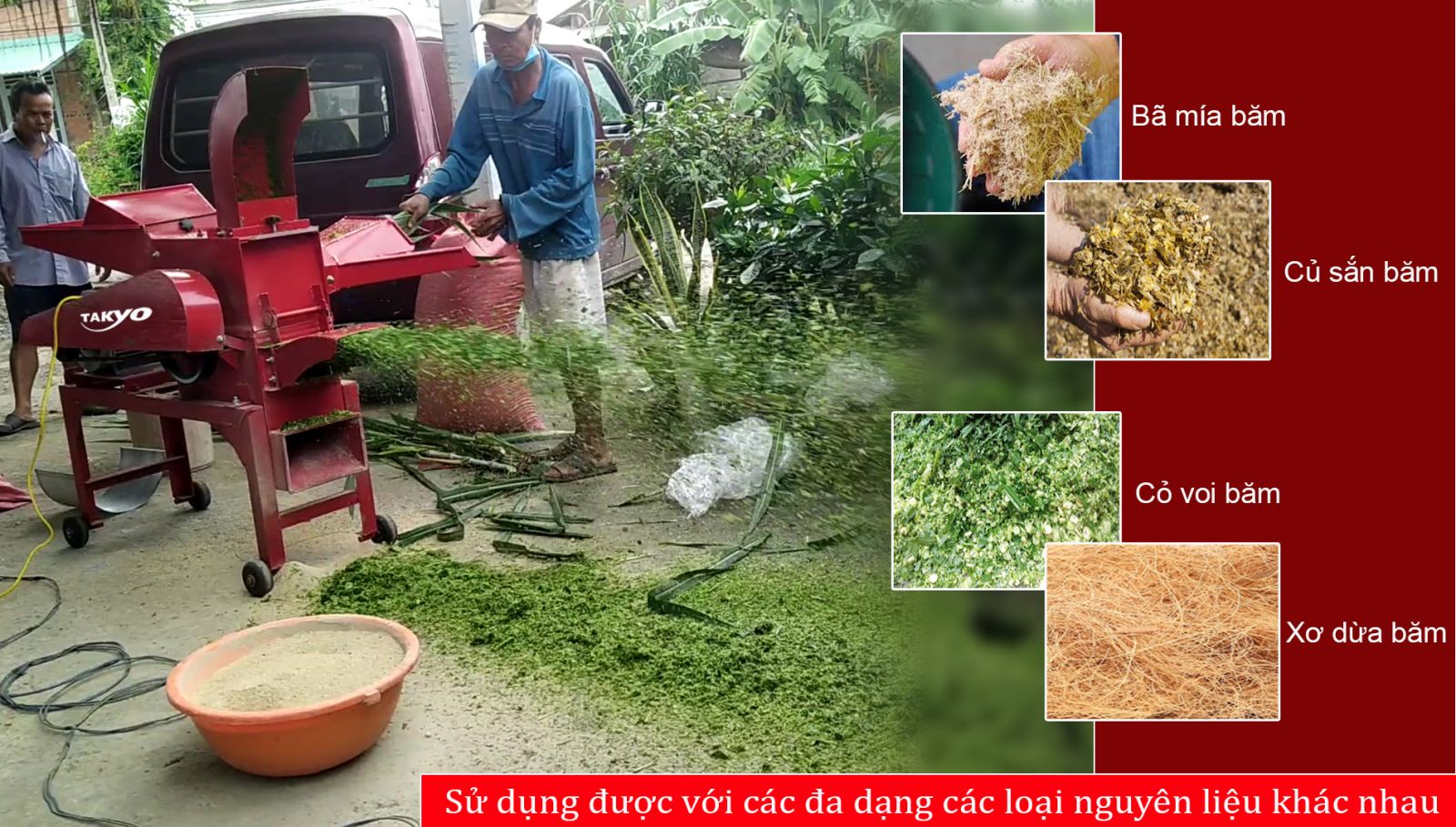 Thực trạng máy băm xơ dừa hiện nay ở Việt Nam 