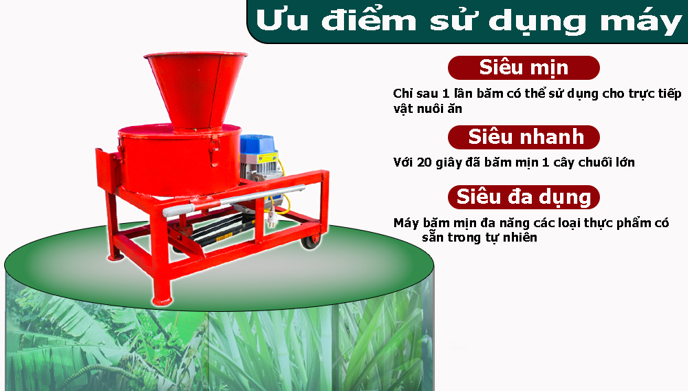 Những bí quyết vàng để đạt năng suất cao nhất 