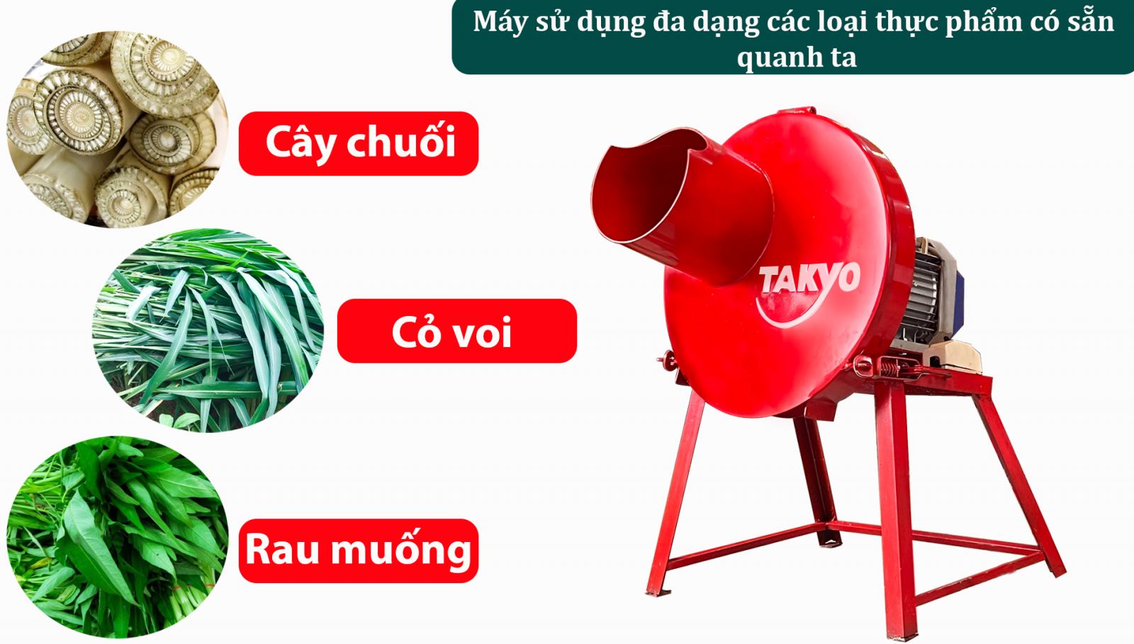 may-thai-chuoi-cay-takyo-tk1500