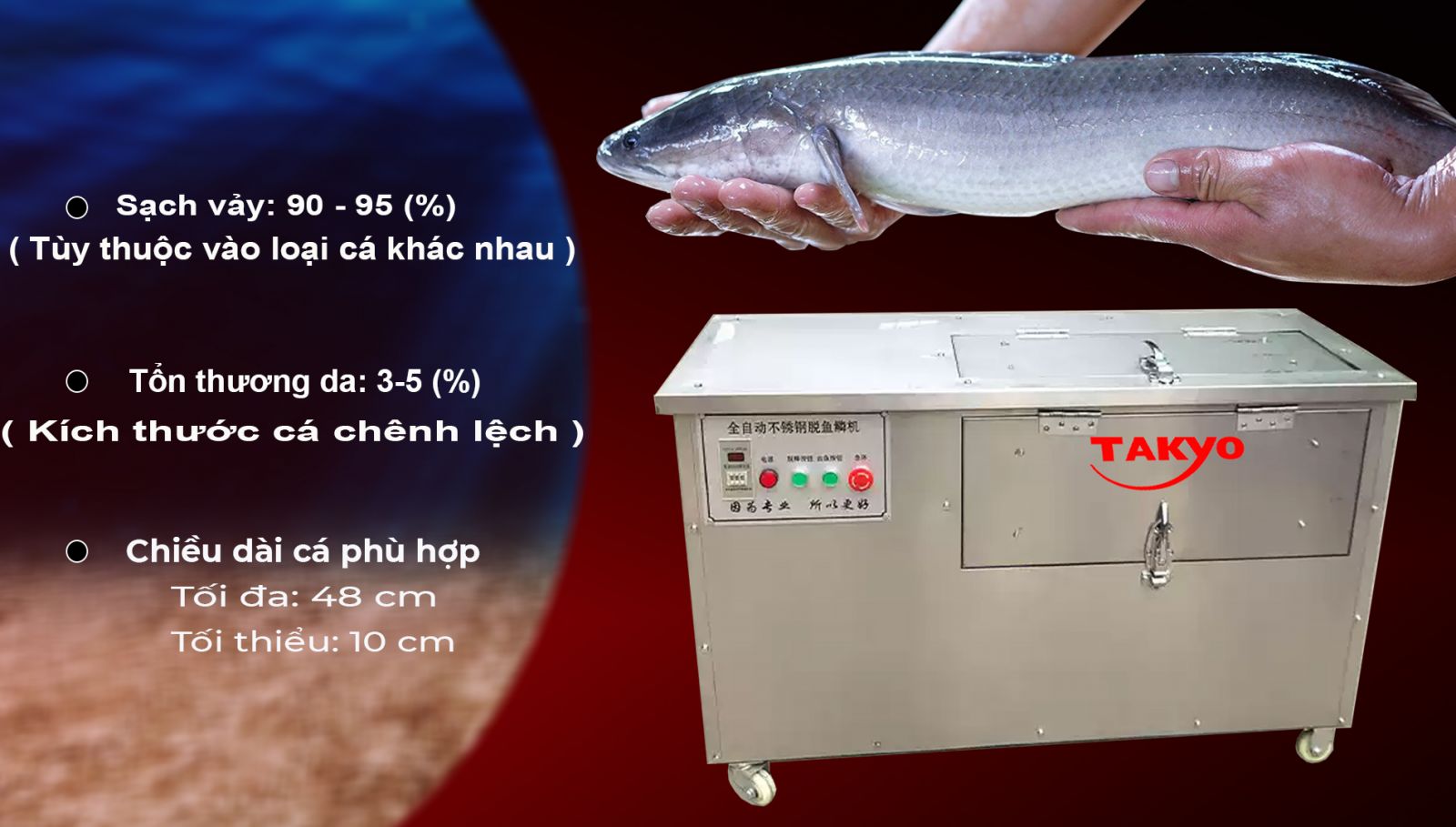 Lợi ích khi sử dụng máy đánh vảy cá siêu sạch Takyo TK 500 tại tỉnh Bình Phước