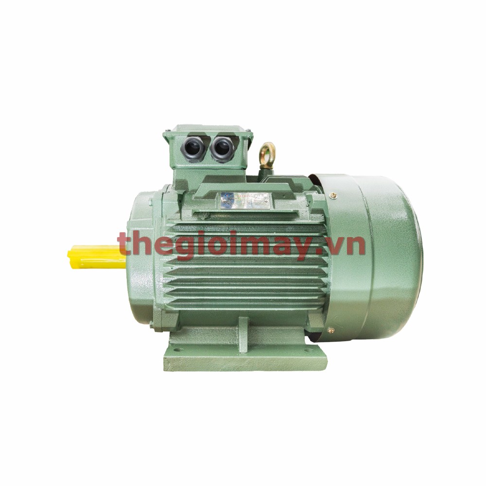 Motor Việt Hùng 0.75KW-1000 vòng/phút