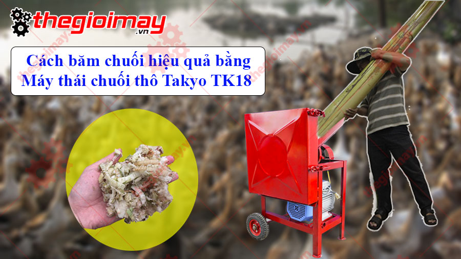Cách băm chuối hiệu quả bằng máy thái chuối thô Takyo TK18
