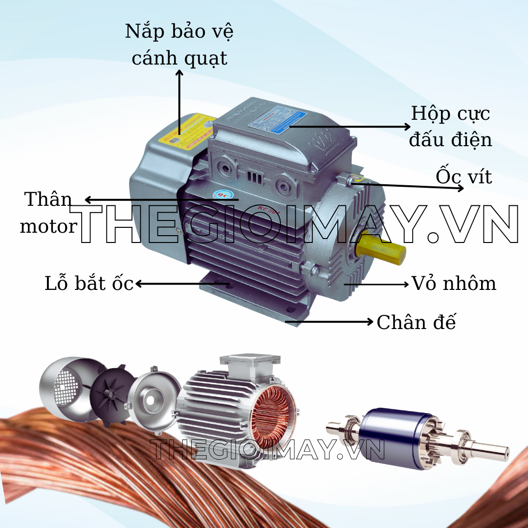 Các bộ phận của motor bơm nước Chesi 3 kW 1490 vòng/phút bao gồm: Vỏ động cơ, Stator, Rotor, bánh răng, chân đế, tụ điện. 