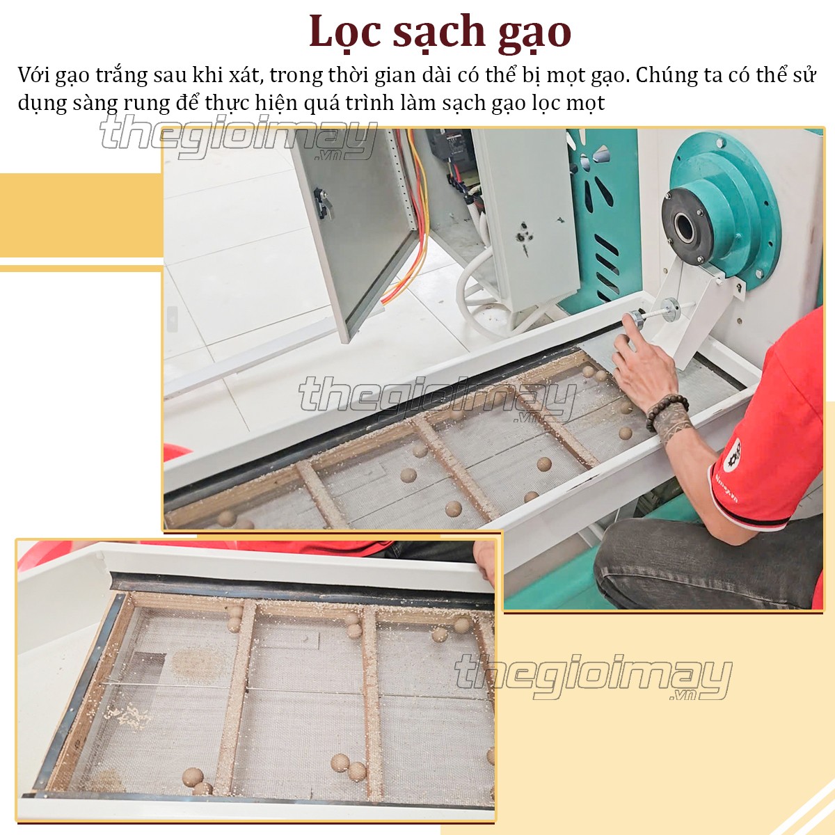 Sàng phân loại chất lượng gạo của dây chuyền máy xay xát gạo Takyo TK18-16CN