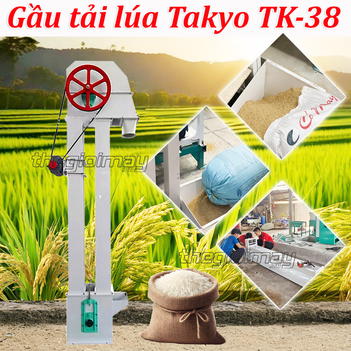 Gầu tải lúa Takyo TK-38