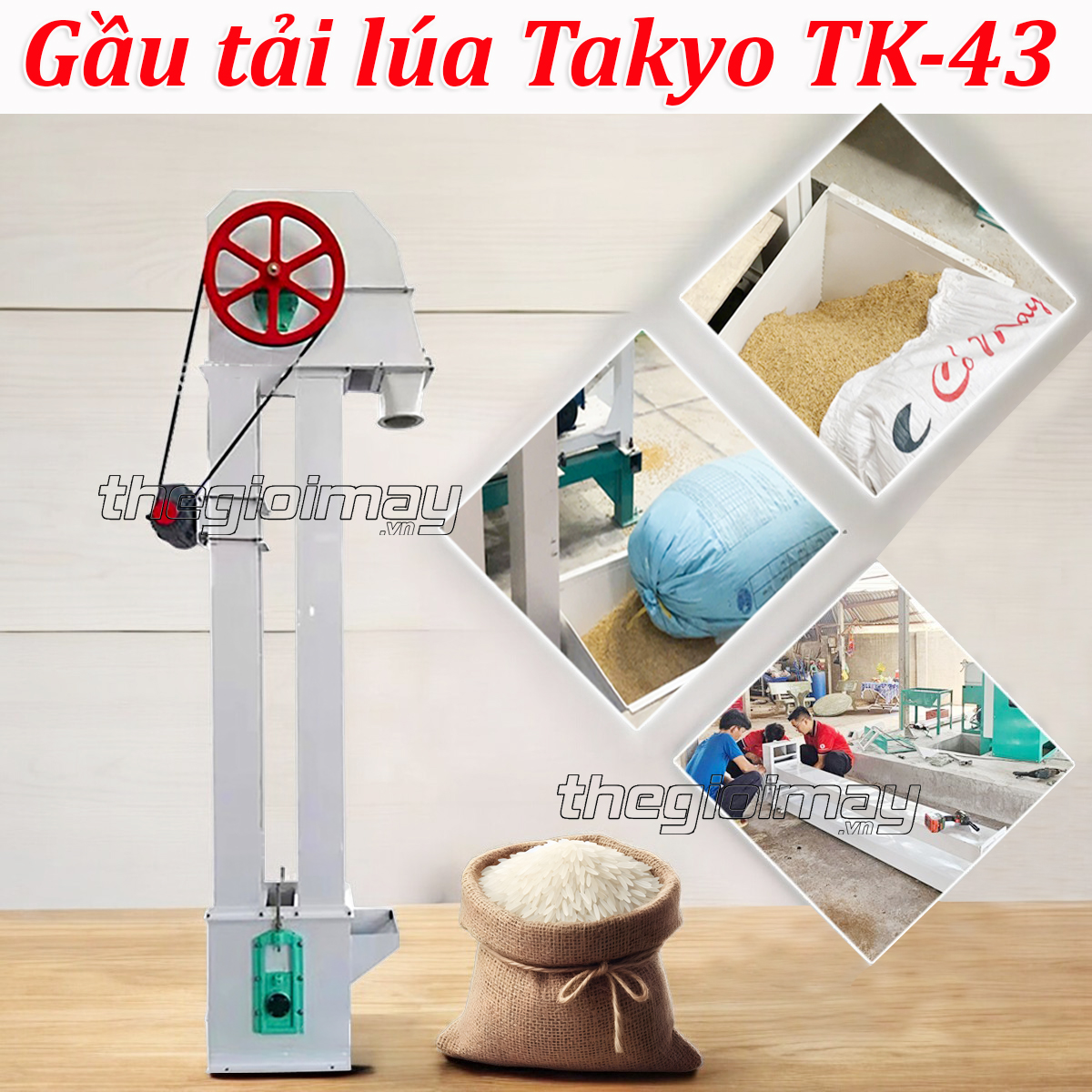 Gầu tải lúa Takyo TK 43