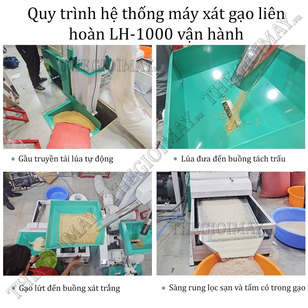 Quy trình hệ thống máy xát gạo liên hoàn tự động LH 1000 vận hành