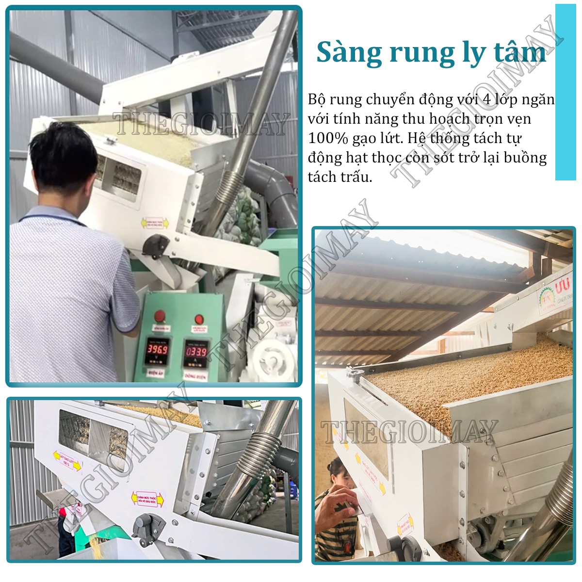 Sàng rung ly tâm máy xát gạo liên hoàn 6LN-15SF