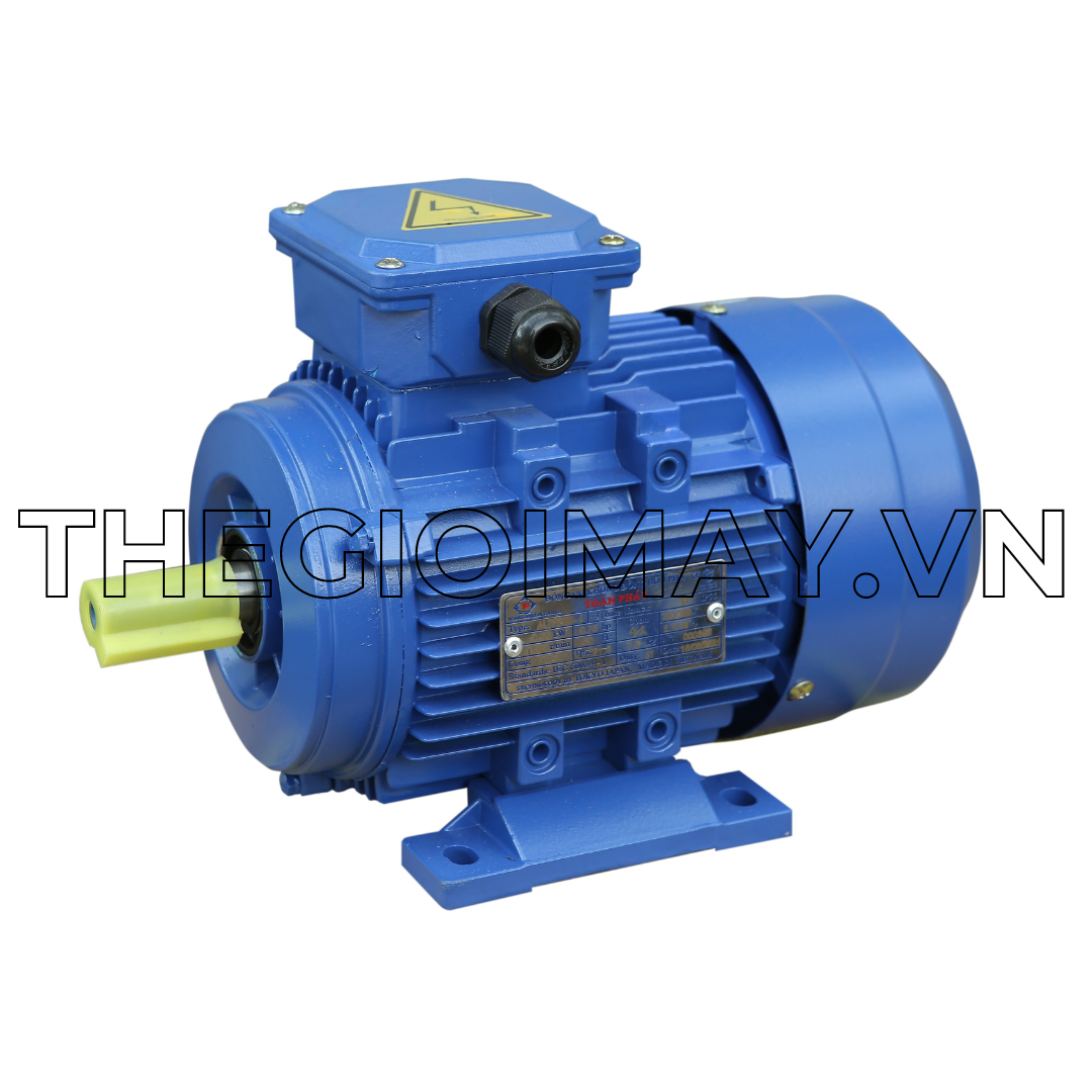 Motor điện 3 pha Toàn Phát 0.55 kW 1500 vòng/phút là sản phẩm phù hợp với nhiều ứng dụng công nghiệp và thương mại khác nhau. Động cơ được sản xuất trên dây chuyền hiện đại CNC, đạt tiêu chuẩn sản xuất chất lượng theo tiêu chuẩn Việt Nam, được quấn từ 100% dây đồng nên motor chạy êm, ổn định, ít gây tiếng ồn. 