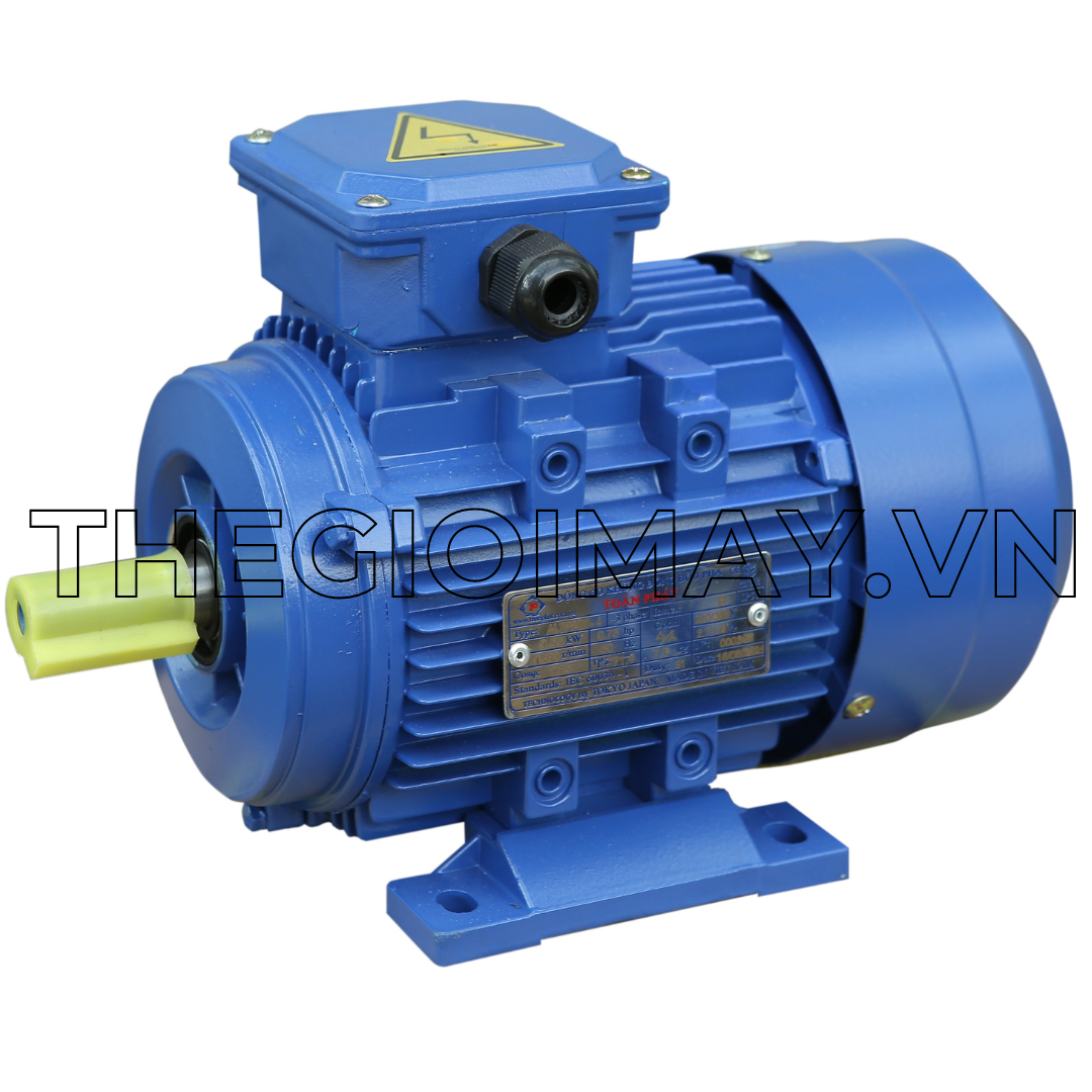 Motor 3 pha Toàn Phát 4 kW 1500 vòng/phút là dòng motor công nghiệp được ứng dụng nhành công nghiệp nhẹ làm động cơ cho máy bơm nước, máy nén khí, máy sấy,... hay trong Nông nghiệp như bơm nước tưới tiêu, phun thuốc,... Motor có cấu tạo đơn giản và nhỏ gọn giúp người sử dụng dễ dàng lắp ráp và di chuyển.