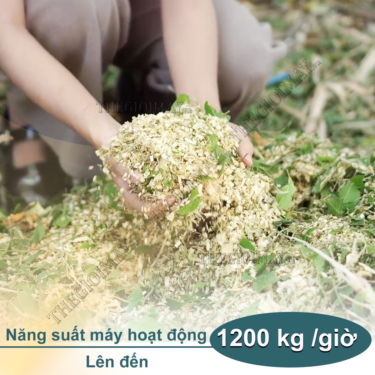 Năng suất hoạt động của máy băm cành cây Takyo TK 65