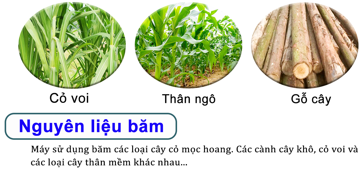 Ứng dụng sử dụng máy băm cành cây Takyo TK 65