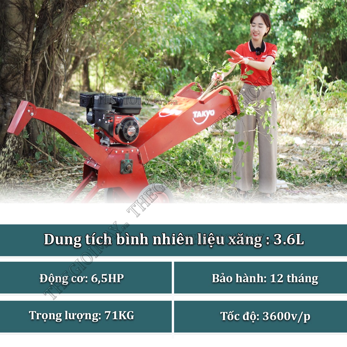 Thông số cấu tạo máy băm cành cây Takyo TK 65