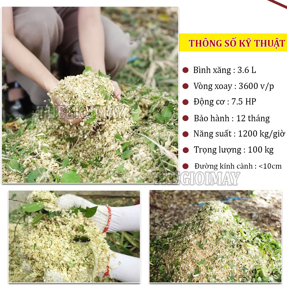 Thông số kỹ thuật của máy băm cành cây Takyo TK 75