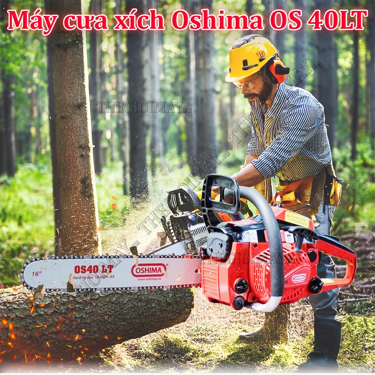 Máy cưa xích chạy xăng Oshima OS 40LT