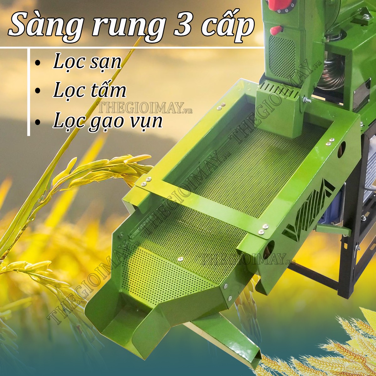 sàng rung lọc sạng 3 cấp độ của máy xát gạo SA30