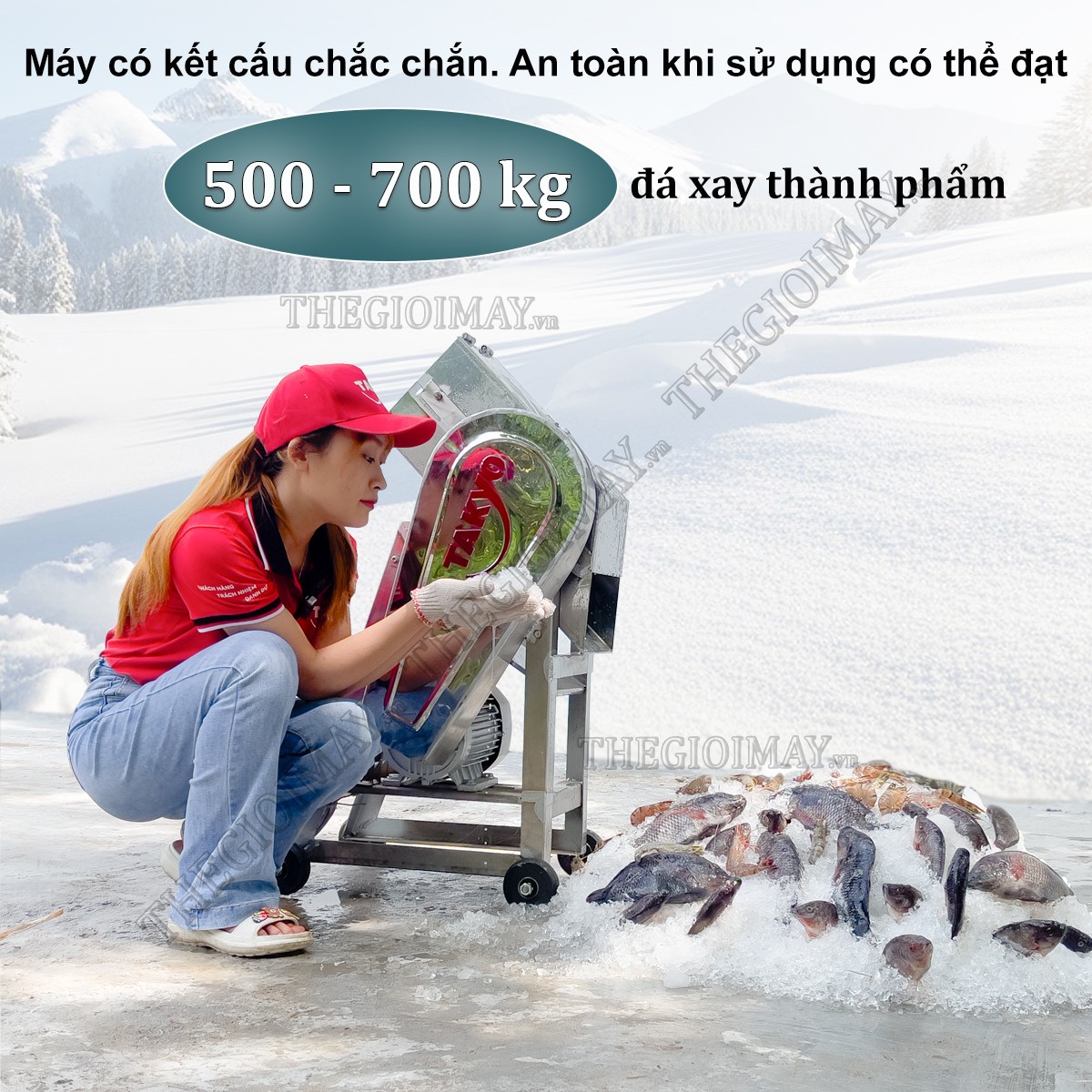 máy xay đá Takyo TK2HP năng suất có thể lên đến 700kg/giờ