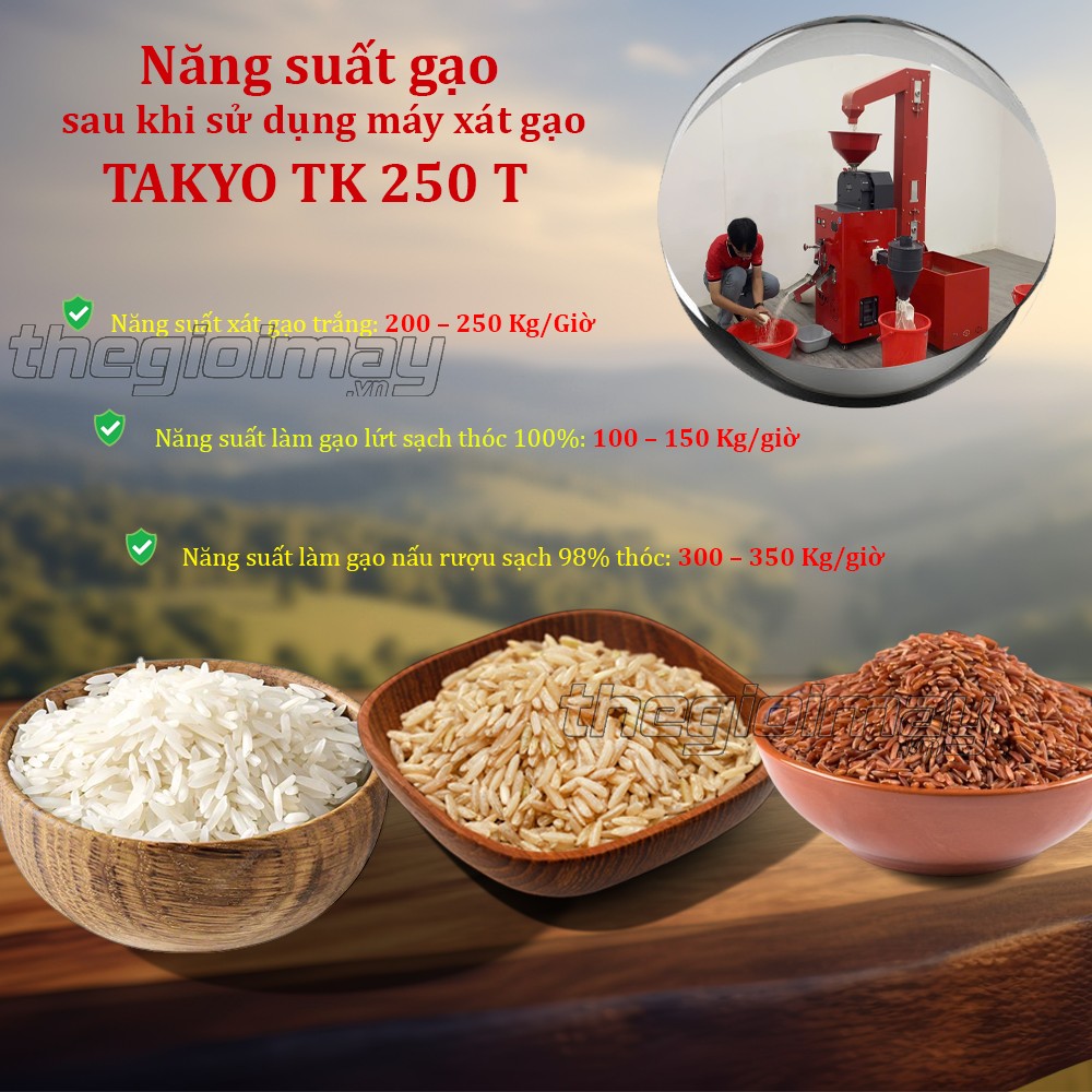 Máy xát gạo Takyo TK 250 T có năng suất hoạt động mạnh mẽ