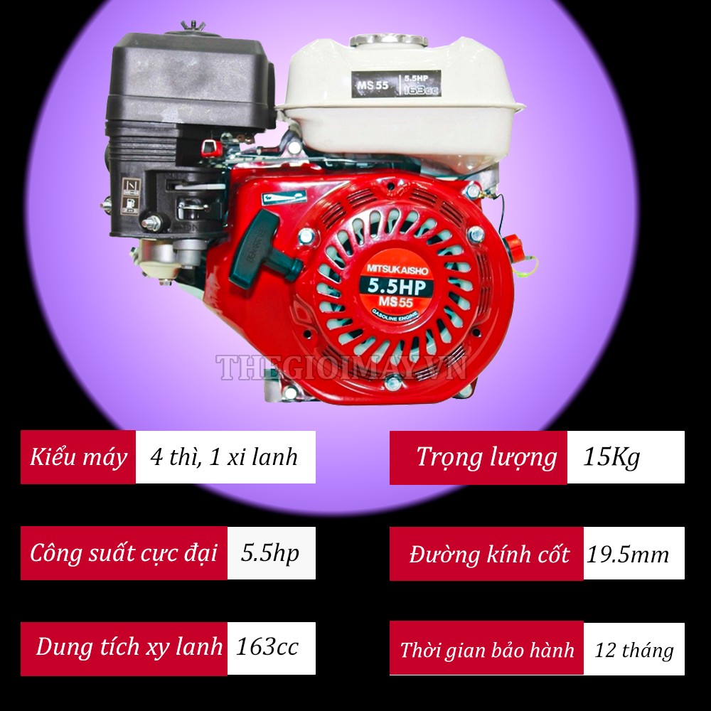 Thông số của máy nổ Mitsukaisho MS55 5.5 HP