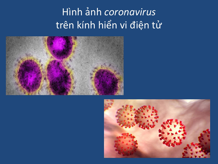 Virus Corona là gì?