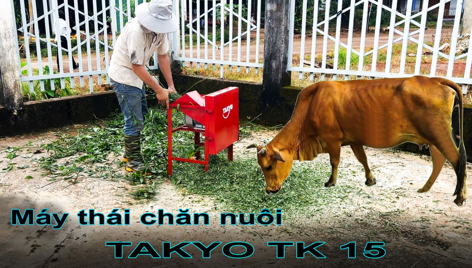 bao-gia-may-thai-chuoi-chan-nuoi-takyo-tk1500