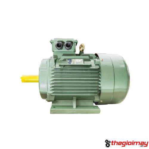 Motor điện Viet Hung 0.75KW-1000 Vòng/phút