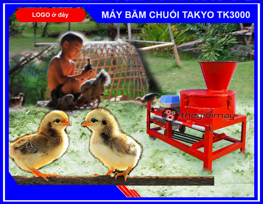 Cung cấp máy băm chuối đa năng Takyo TK3000 cho gà giá rẻ tại Long An