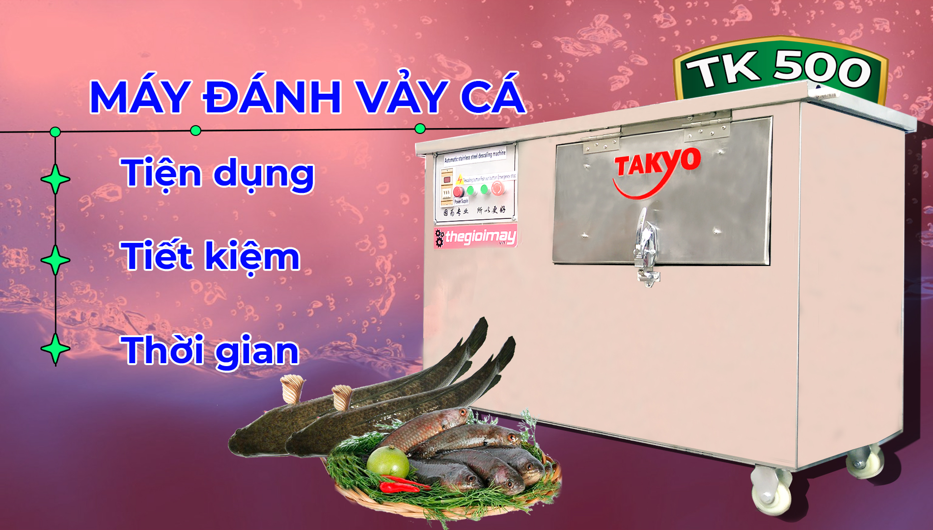 Máy đánh vảy cá siêu sạch TAKYO TK 500 tại tỉnh Bình Phước