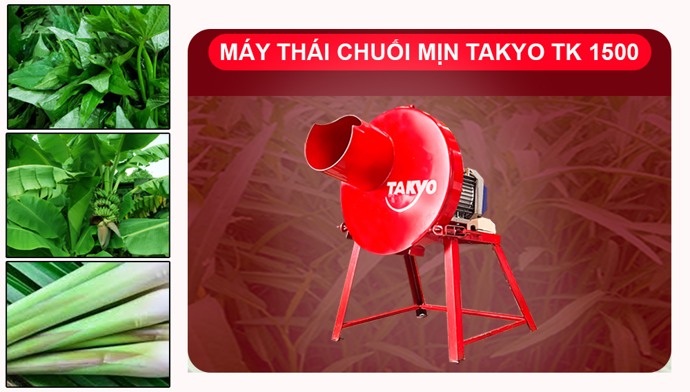 Báo giá máy thái chuối TAKYO TK 1500 cho gà vịt - 1.5 KW