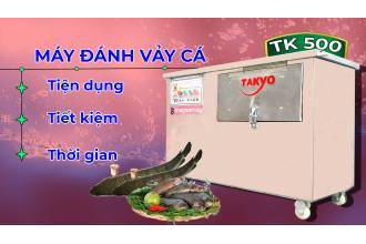 Máy đánh vảy cá TAKYO tại tỉnh An Giang