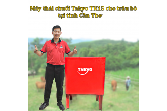 Báo giá máy thái chuối cho trâu bò Takyo TK 15 giá rẻ tại Cần Thơ