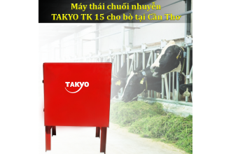 Trang trại bò sữa tại Cần Thơ – Nâng tầm phát triển cùng với siêu phẩm máy thái chuối đa năng Takyo TK 15 chất lượng vượt trội